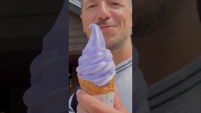 #offthebeatenpath #hokkaido #furano #japan #traveldiaries